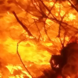 Meet your Posher, Cole